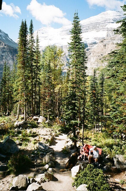 View from Six Plains Glacier Teahouse - trees with mountains in the background and a couple in the foreground feeding a dog.